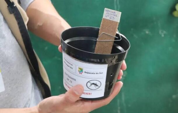 Instala Salud Jalisco 8 mil 500 ovitrampas para reforzar vigilancia contra el dengue
