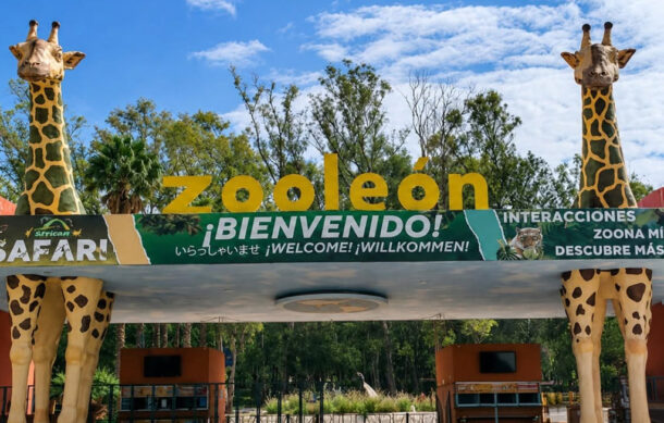 Detectan gusano barrenador en dos animales del Zoo León