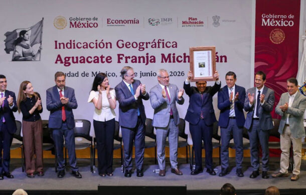 Reconocen al aguacate Franja Michoacán con indicación geográfica