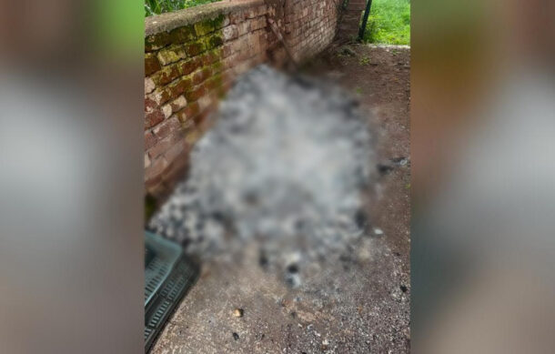 Colectivos reportan presunto crematorio clandestino en Ayutla