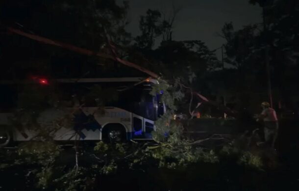 Lluvia provoca inundaciones, caída de árboles y afectaciones al transporte en la ZMG