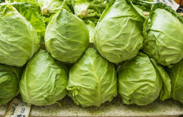 Retiran lechuga mexicana en EU por brote de ciclosporiasis