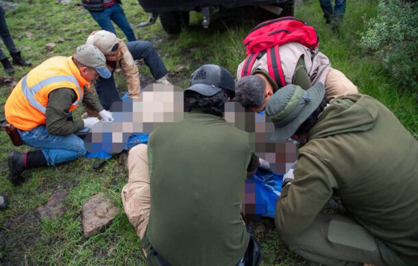 Muere tigre de bengala tras operativo en Edomex