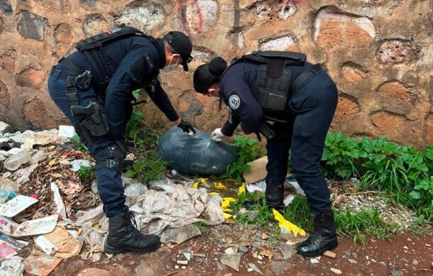 Investigan hallazgo de 30 perros eutanizados y abandonados en El Salto